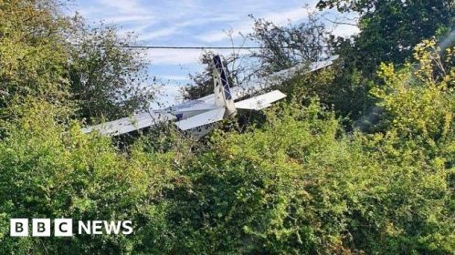 Dunstable plane crash-landed after pigeon strike