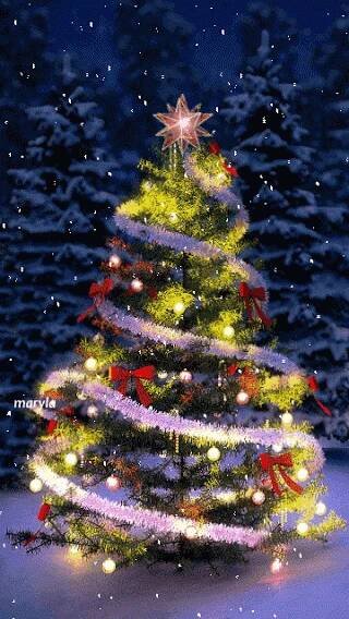 a brightly lit christmas tree in the snow