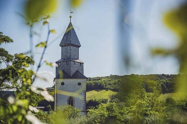 Žabinec | Penzion & Vinotéka Kurdějov