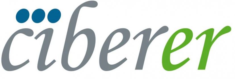 logo_Ciberer_transparente