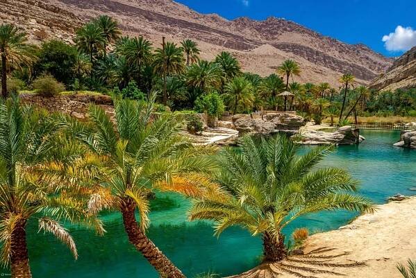 Oman Tour in 8 days