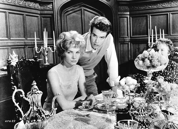 Třpyt v trávě (1961)