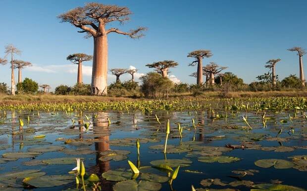 Plan your next luxury escape to Madagascar