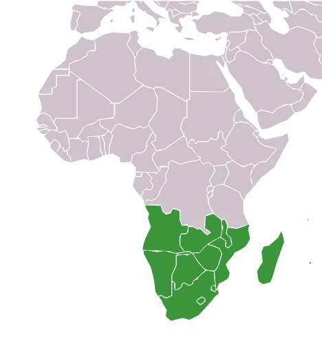 Frontové státy – Wikipedie