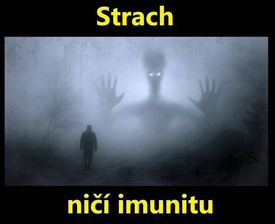 Strach ničí imunitu. A ohlupuje nás - NežerŠalát.sk