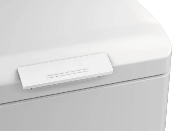 Electrolux PerfectCare 600 EW6TN4262C