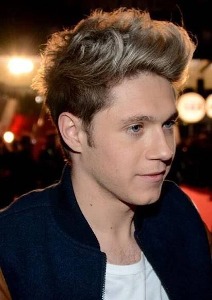 Soubor:One Direction NRJ 2013 3.jpg – Wikipedie