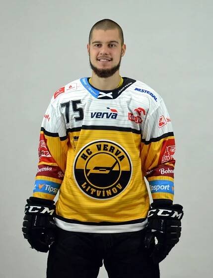 VIDEO, FOTO: Hokejisté extraligového HC Verva Litvínov se fotili na plakát