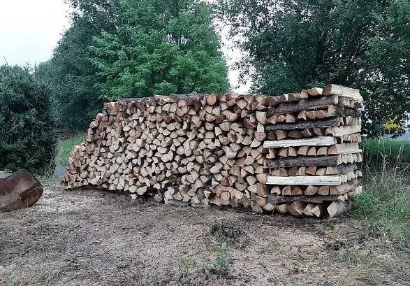 Palivové dřevo