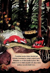 Kniha Tajemství lesa - Hledání zvířátek - Sandra Dieckmann | knizniklub.cz