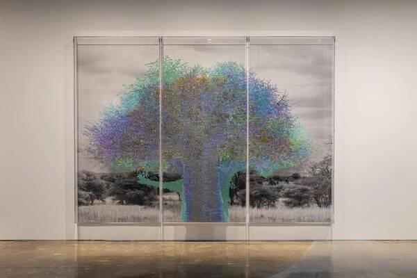 Visual artist Charles Gaines at his new exhibition at Hauser & Wirth in West Hollywood on Wednesday, Feb. 12, 2025 LA