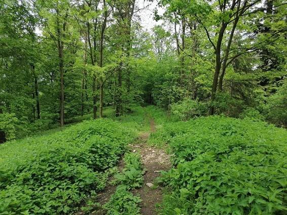 Zdena Trommler - výlet Podbeskydská pahorkatina - Vrcholovka.cz
