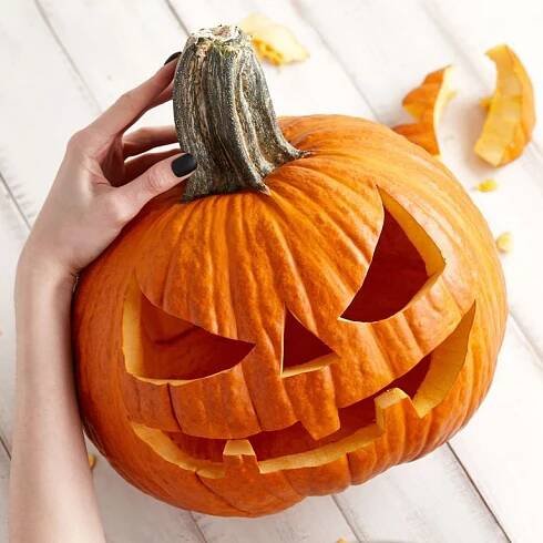 Kürbis schnitzen: Alles zu den richtigen Sorten, Schnitz-Methoden & Beleuchtung | Pumpkin carving, Pumpkin, Pumpkin carving kits