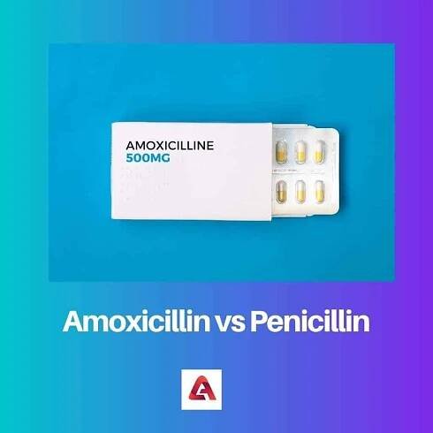 Amoxicilin vs Penicilin: Rozdíl a srovnání