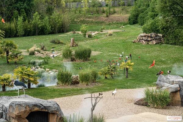 Zoo de Beauval 