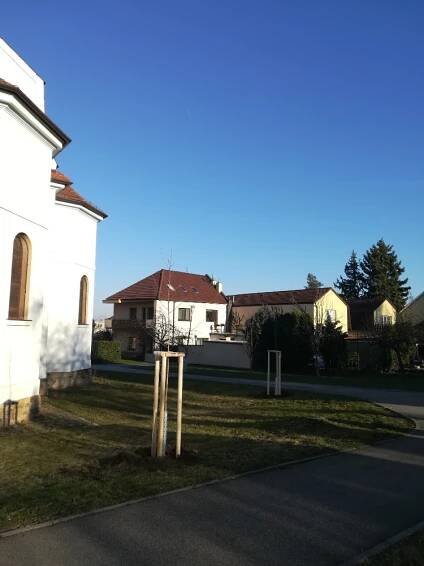 SÁZENÍ STROMŮ BRNO HORNÍ HERŠPICE - Oficiální stránka obce Tasovice