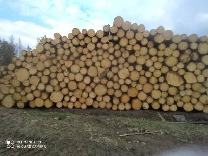 Koupím smrkovou kulatinu ,les