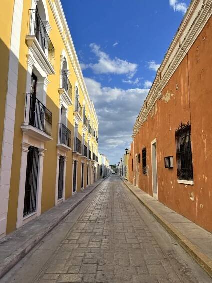 Campeche - Bears travelling