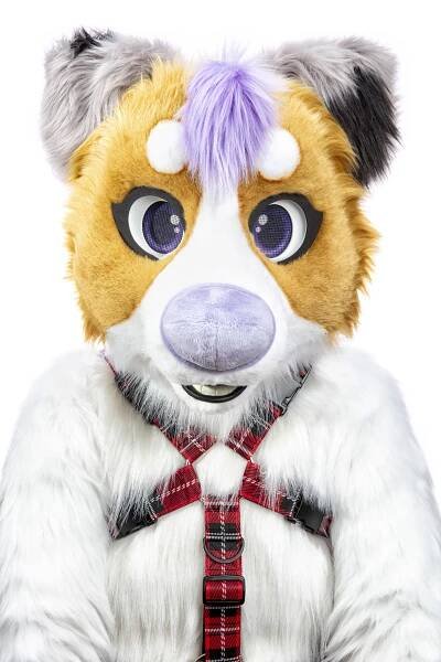 Fursuits – Sascha Rheker – Photographer