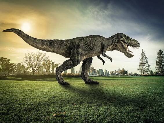 dinosaurus - tyrannosaurus - stock snímky, obrázky a fotky