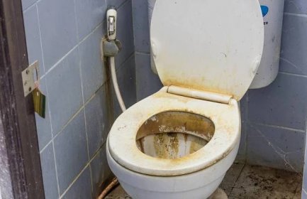 Hodně zamazaný záchod dokonale vyčistíte pouze s použitím česneku - AAzdraví.cz