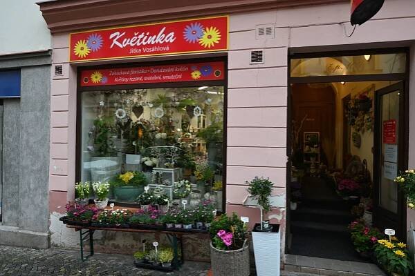 Květinka Trutnov – květinářství – Květinářství Trutnov – řezané, pokojové a hrnkové květiny