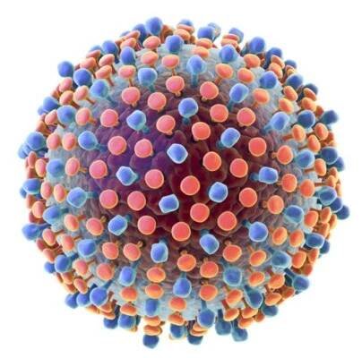 Hepatitis C