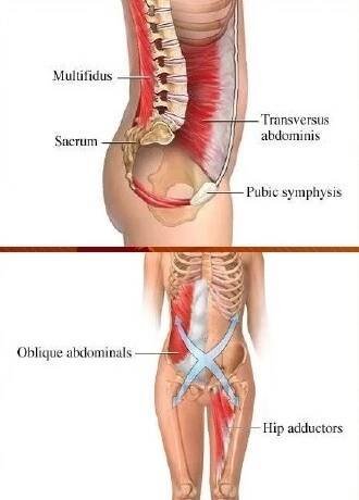 core-svaly