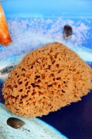 Minerální mořská houba na mytí | Less waste
