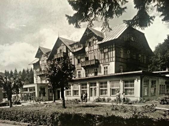 Hotel Krone, Savoy | Databáze domů s historií