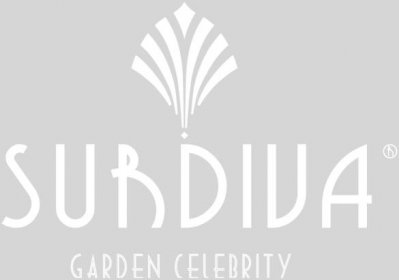 Surdiva® logo