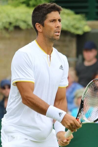 Fernando Verdasco - Wikipedia