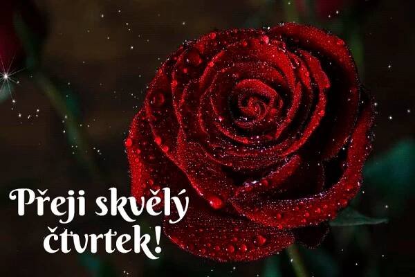 ?url=79467856398d6192&size=3