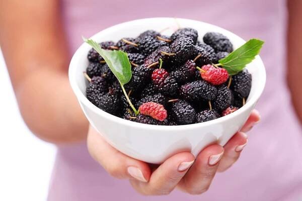 Jedlé a léčivé plody moruše: sirup, kompot, marmeláda