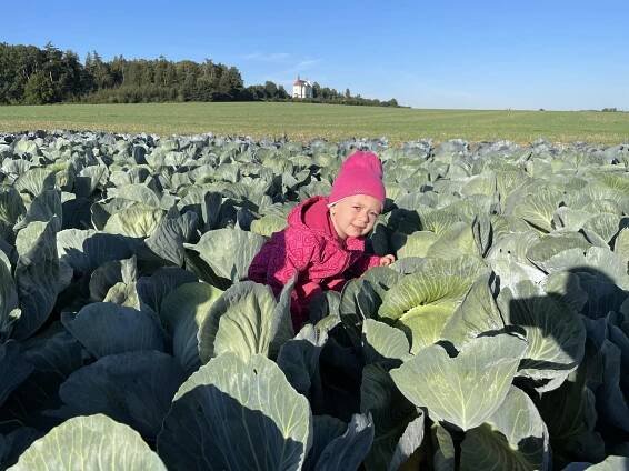 Farma u Miklasů – rodinná farma nedaleko Strakonic