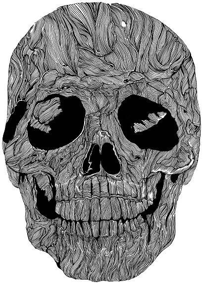 Sam Sephton Illustration - Skull Project