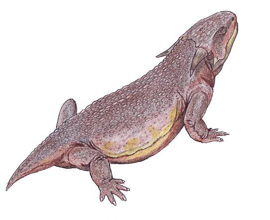 Procolophonoidea