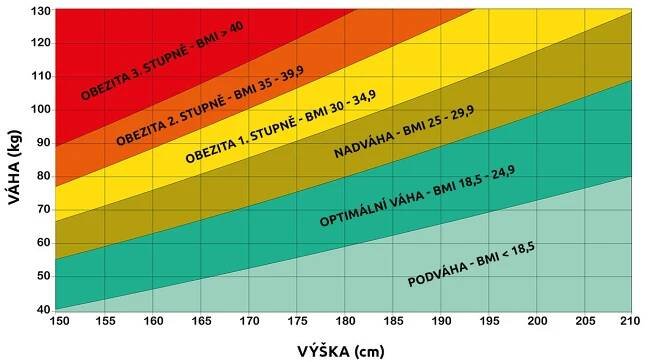 BMI kalkulačka a co (ne)odhalí výpočet BMI indexu | BENU.cz 