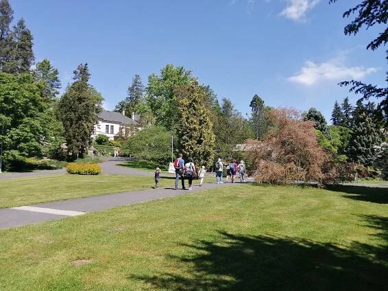 PODÍVEJTE SE: Arboretum na Opavsku je otevřeno! Láká na tuto kvetoucí nádheru