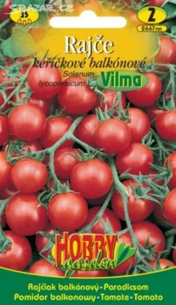 Rajče keříčkové, balkonové - Vilma (semena)