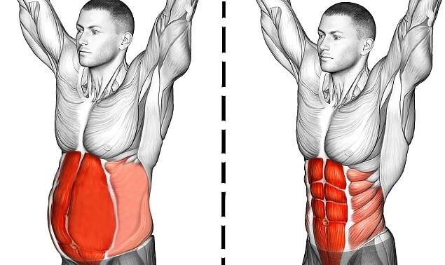 Abs Workout (Abdominal Exercises)