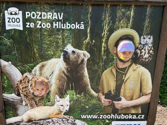 Fotografie MŠ - MŠ - Školní výlet do ZOO Ohrada Hluboká nad Vltavou - Základní škola a Mateřská škola Rudolfov