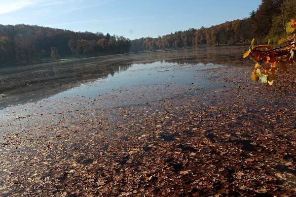 Listopad bude teplotně i srážkově průměrný, předpokládají meteorologové