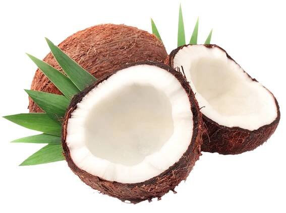 kokos