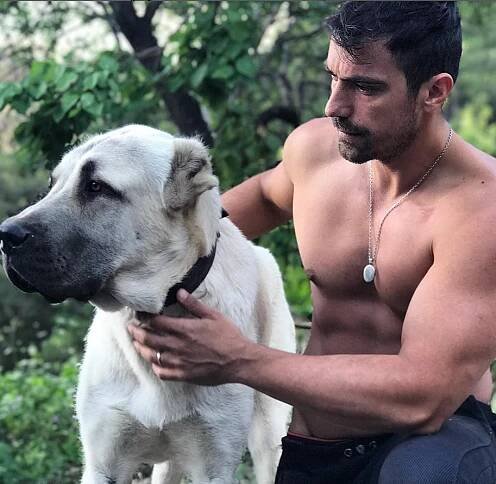 İbrahim Çelikkol loves dogs