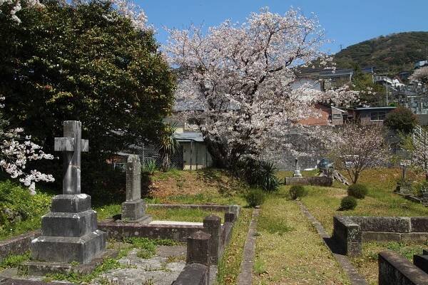 Sakamoto International Cemetery