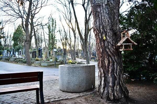 Kdysi vesnice o dvou dvorech, dnes tu odpočívají nebožtíci z celé Prahy. Olšany jsou starší než Žižkov