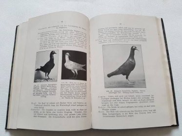 Staré knihy o holubářství - Voláč + Bradavičnatí holubi + chov pěstění - Odborné knihy