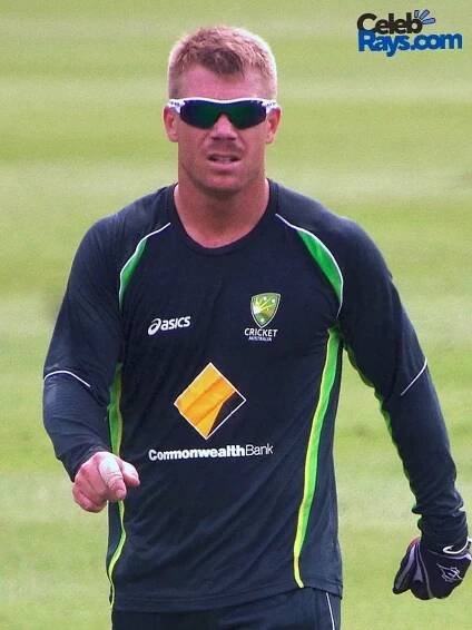 David Warner start of good career (2)