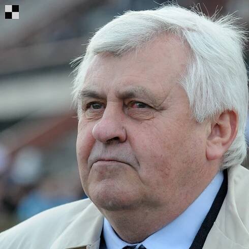 Tomáš Šatra: „Reglisse už vypadá lépe“
